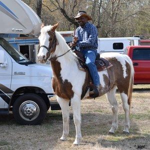 Meet your Posher, Robert